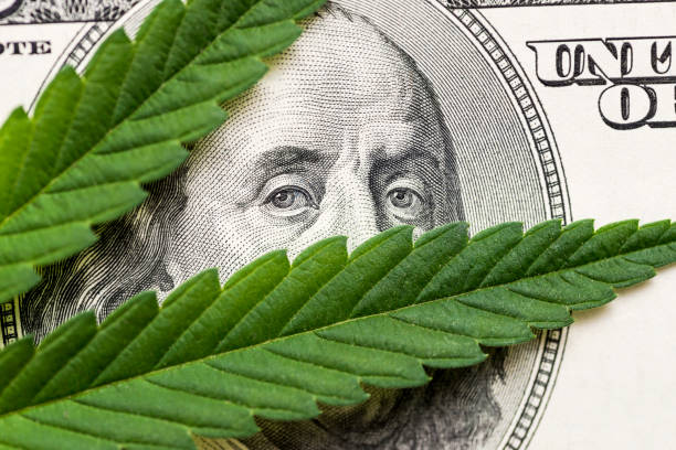 Legalization of Marijuana use
